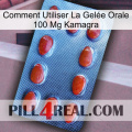 Comment Utiliser La Gelée Orale 100 Mg Kamagra 06